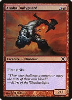 Anaba Bodyguard