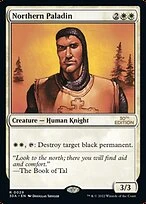 Northern Paladin