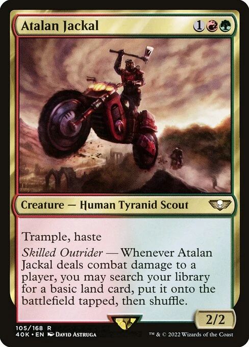 Atalan Jackal