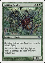 Spitting Spider