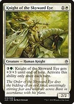 Knight of the Skyward Eye