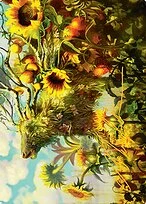 Beza, the Bounding Spring