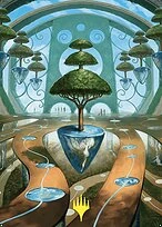 Rejuvenating Springs