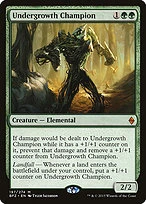 Undergrowth Champion