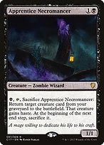 Apprentice Necromancer