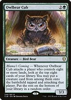 Owlbear Cub