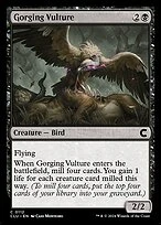 Gorging Vulture