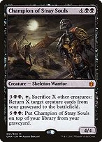 Champion of Stray Souls