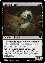 Carrion Grub