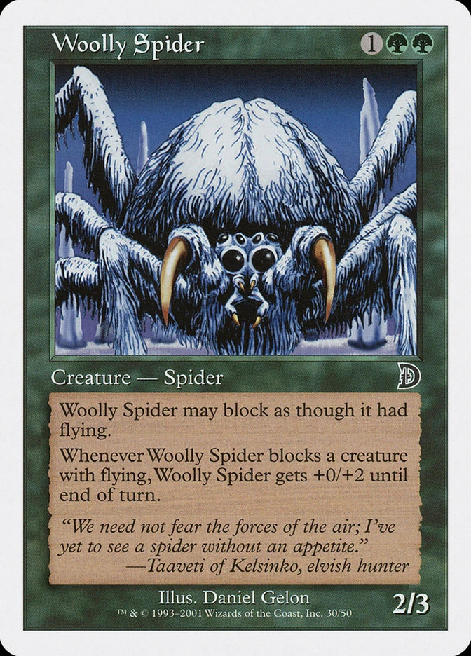 Woolly Spider