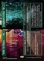 Walk-In Closet // Forgotten Cellar