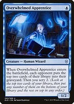 Overwhelmed Apprentice