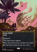 Lotus Field