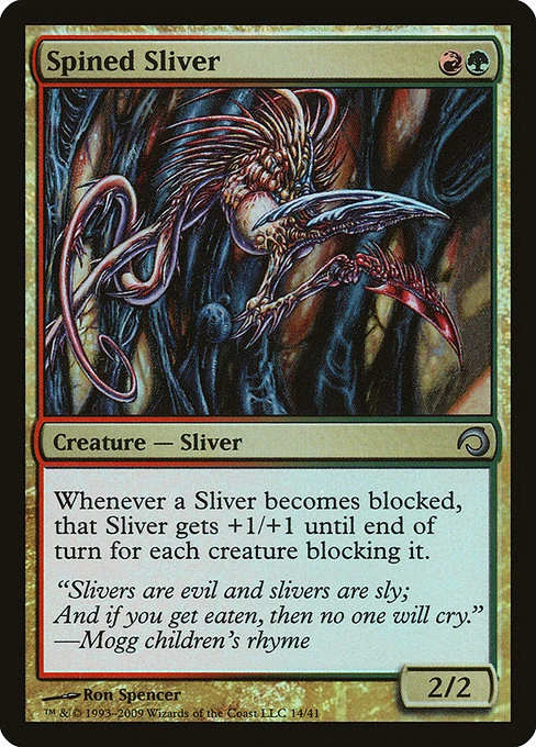 Spined Sliver