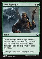 Moonlight Hunt