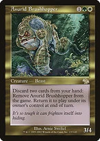 Anurid Brushhopper