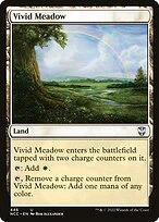 Vivid Meadow