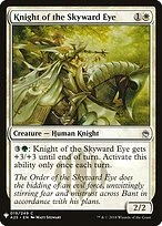 Knight of the Skyward Eye