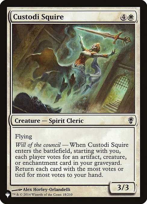 Custodi Squire