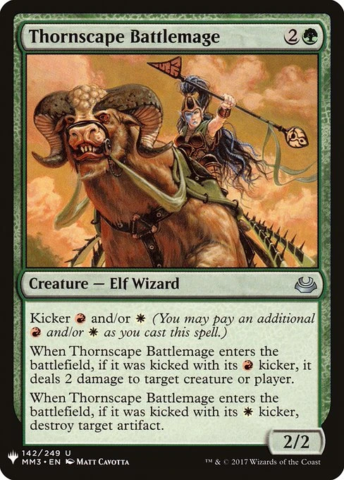 Thornscape Battlemage