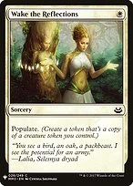 Wake the Reflections