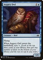 Augury Owl