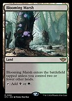 Blooming Marsh