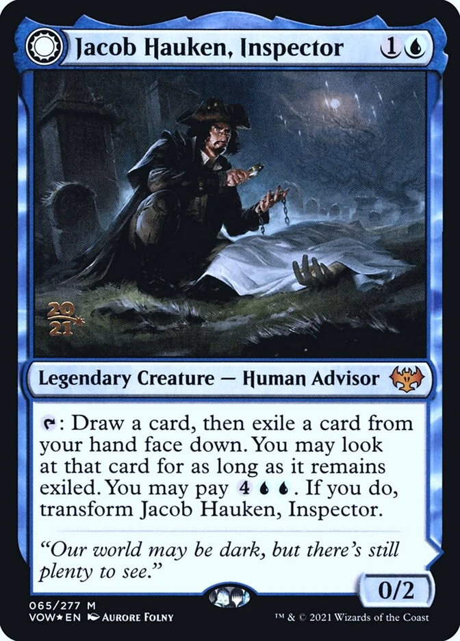 Jacob Hauken, Inspector