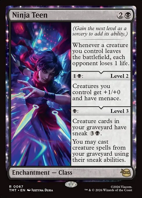 Ninja Teen