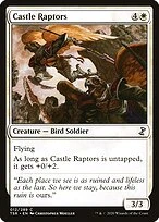 Castle Raptors